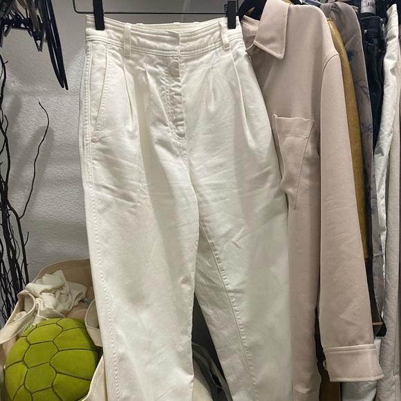 Aritzia Pants - ARITZIA ANTARES PANT